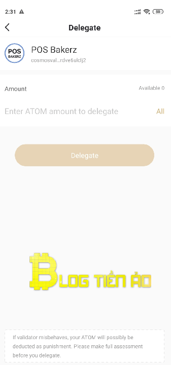 Nhập số lượng Atom muốn staking